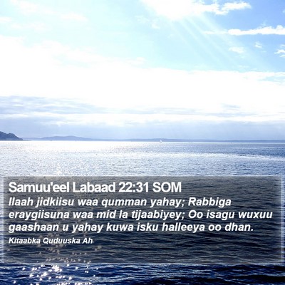 Samuu'eel Labaad 22:31 SOM Bible Verse Image