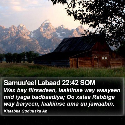 Samuu'eel Labaad 22:42 SOM Bible Verse Image