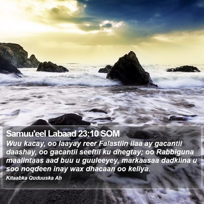 Samuu'eel Labaad 23:10 SOM Bible Verse Image