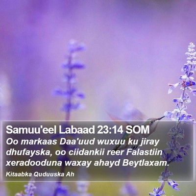 Samuu'eel Labaad 23:14 SOM Bible Verse Image