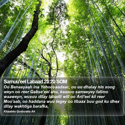 Samuu'eel Labaad 23:20 SOM Bible Verse Image
