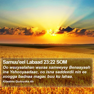 Samuu'eel Labaad 23:22 SOM Bible Verse Image