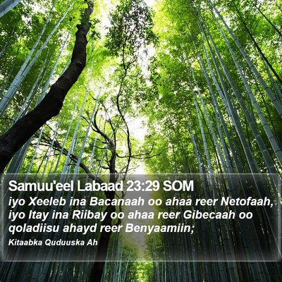 Samuu'eel Labaad 23:29 SOM Bible Verse Image