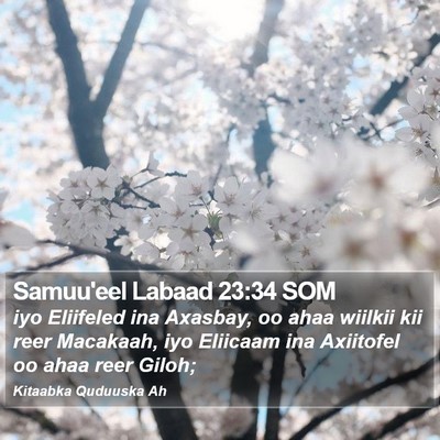 Samuu'eel Labaad 23:34 SOM Bible Verse Image