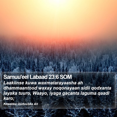 Samuu'eel Labaad 23:6 SOM Bible Verse Image