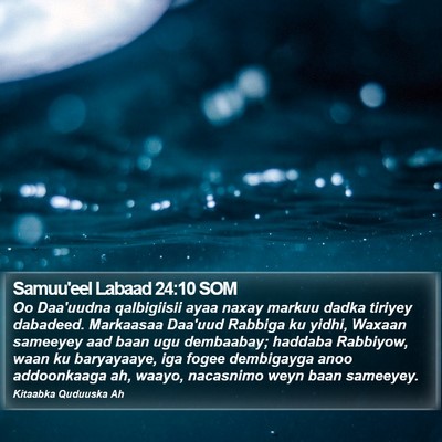 Samuu'eel Labaad 24:10 SOM Bible Verse Image