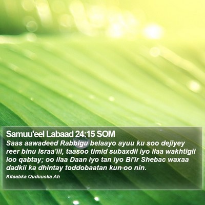 Samuu'eel Labaad 24:15 SOM Bible Verse Image