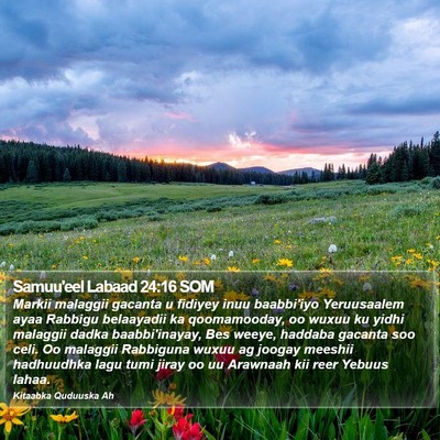 Samuu'eel Labaad 24:16 SOM Bible Verse Image
