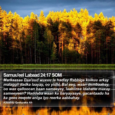 Samuu'eel Labaad 24:17 SOM Bible Verse Image