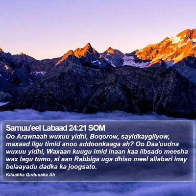 Samuu'eel Labaad 24:21 SOM Bible Verse Image