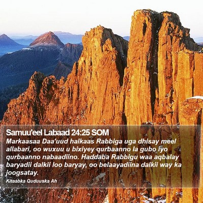 Samuu'eel Labaad 24:25 SOM Bible Verse Image