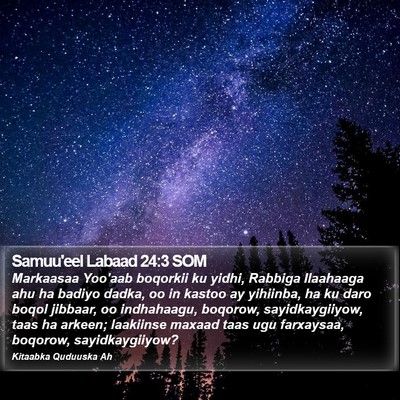 Samuu'eel Labaad 24:3 SOM Bible Verse Image