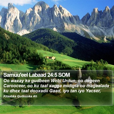 Samuu'eel Labaad 24:5 SOM Bible Verse Image