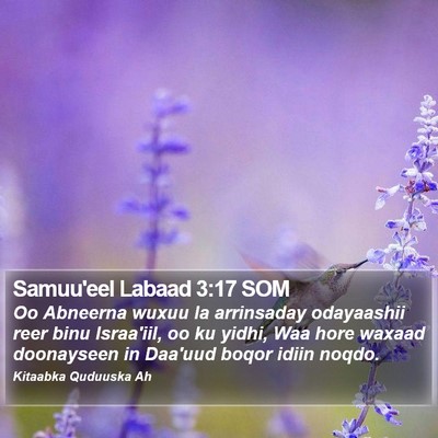 Samuu'eel Labaad 3:17 SOM Bible Verse Image