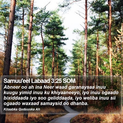 Samuu'eel Labaad 3:25 SOM Bible Verse Image