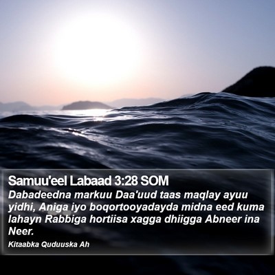 Samuu'eel Labaad 3:28 SOM Bible Verse Image