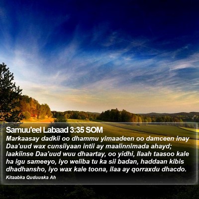 Samuu'eel Labaad 3:35 SOM Bible Verse Image