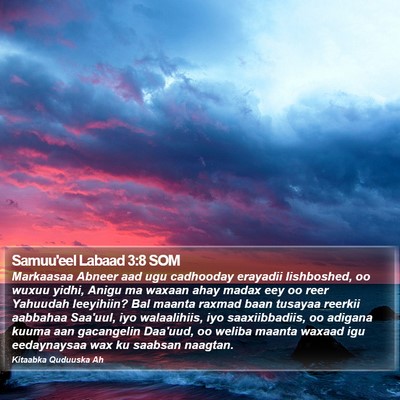 Samuu'eel Labaad 3:8 SOM Bible Verse Image