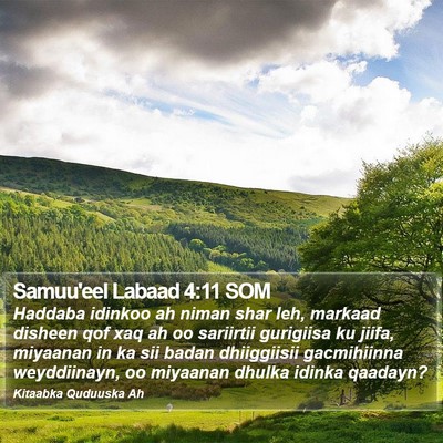 Samuu'eel Labaad 4:11 SOM Bible Verse Image