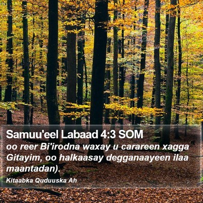 Samuu'eel Labaad 4:3 SOM Bible Verse Image