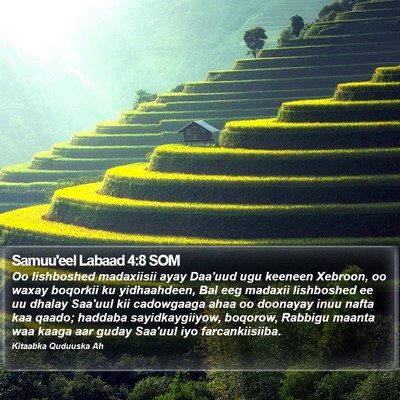 Samuu'eel Labaad 4:8 SOM Bible Verse Image