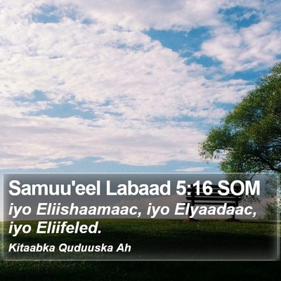 Samuu'eel Labaad 5:16 SOM Bible Verse Image