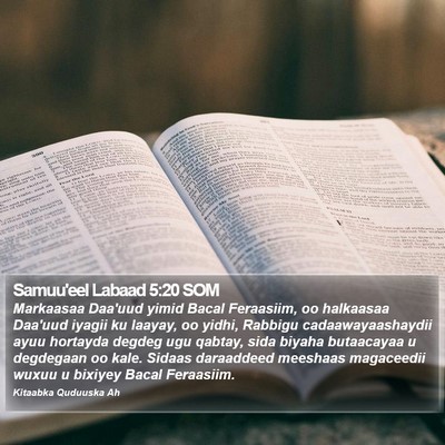 Samuu'eel Labaad 5:20 SOM Bible Verse Image