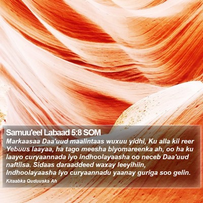 Samuu'eel Labaad 5:8 SOM Bible Verse Image
