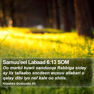 Samuu'eel Labaad 6:13 SOM Bible Verse Image