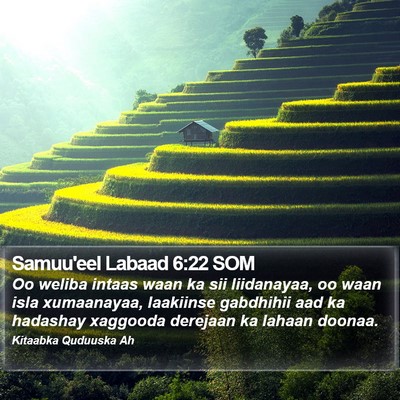 Samuu'eel Labaad 6:22 SOM Bible Verse Image