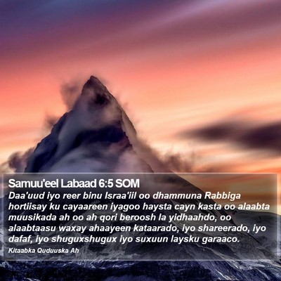 Samuu'eel Labaad 6:5 SOM Bible Verse Image