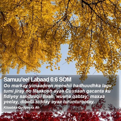 Samuu'eel Labaad 6:6 SOM Bible Verse Image