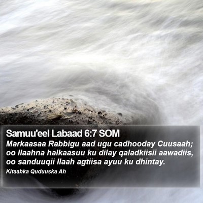 Samuu'eel Labaad 6:7 SOM Bible Verse Image