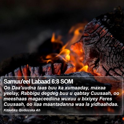 Samuu'eel Labaad 6:8 SOM Bible Verse Image