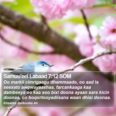 Samuu'eel Labaad 7:12 SOM Bible Verse Image