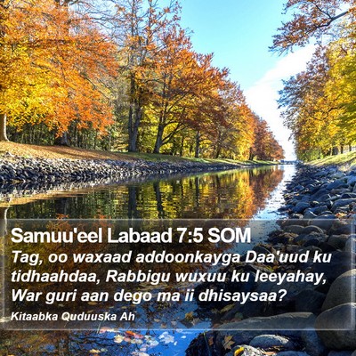 Samuu'eel Labaad 7:5 SOM Bible Verse Image
