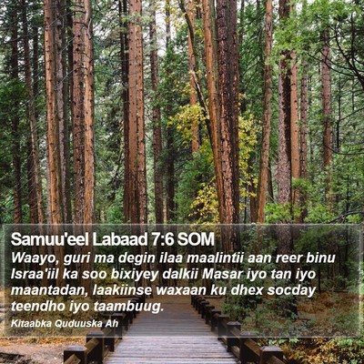Samuu'eel Labaad 7:6 SOM Bible Verse Image