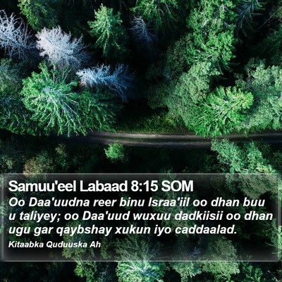 Samuu'eel Labaad 8:15 SOM Bible Verse Image