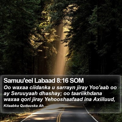 Samuu'eel Labaad 8:16 SOM Bible Verse Image