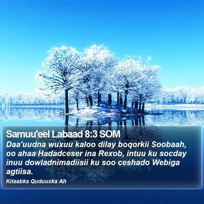 Samuu'eel Labaad 8:3 SOM Bible Verse Image