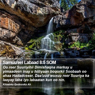 Samuu'eel Labaad 8:5 SOM Bible Verse Image