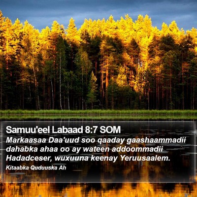 Samuu'eel Labaad 8:7 SOM Bible Verse Image