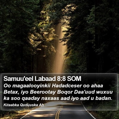 Samuu'eel Labaad 8:8 SOM Bible Verse Image