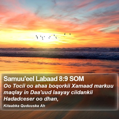 Samuu'eel Labaad 8:9 SOM Bible Verse Image