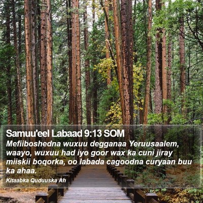 Samuu'eel Labaad 9:13 SOM Bible Verse Image
