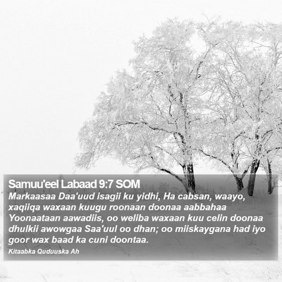 Samuu'eel Labaad 9:7 SOM Bible Verse Image