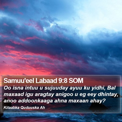 Samuu'eel Labaad 9:8 SOM Bible Verse Image