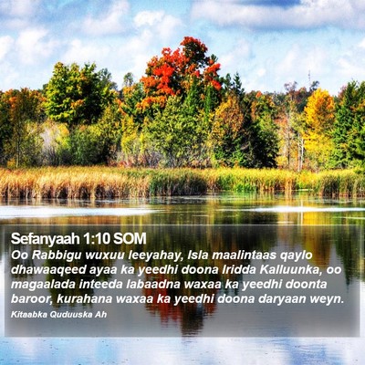 Sefanyaah 1:10 SOM Bible Verse Image