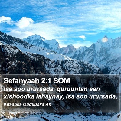 Sefanyaah 2:1 SOM Bible Verse Image