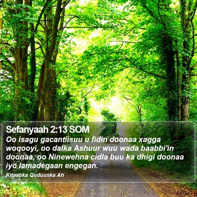 Sefanyaah 2:13 SOM Bible Verse Image